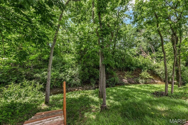 1020 Oak Creek Ln, Waterloo, IL 62298 - view of green lawn with a wooded view