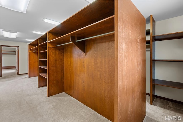 305 Ridge Dr, Sikeston, MO 63801 - spacious closet featuring carpet flooring