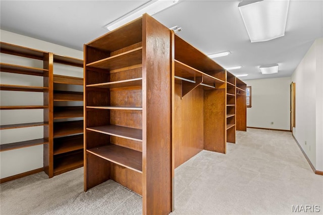 305 Ridge Dr, Sikeston, MO 63801 - walk in closet with light colored carpet