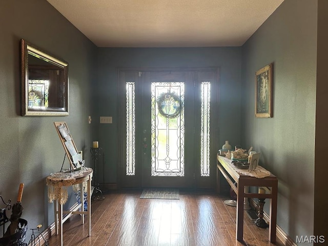 11355 Satmoore Rd, Dexter, MO 63841 - foyer entrance featuring hardwood / wood-style flooring and baseboards