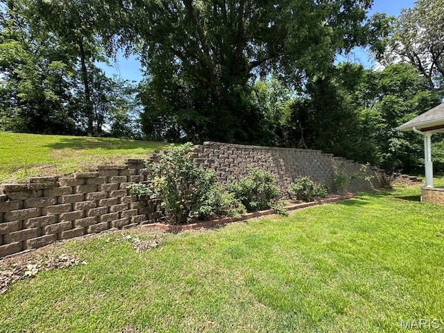 11355 Satmoore Rd, Dexter, MO 63841 - view of grassy yard