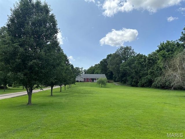 11355 Satmoore Rd, Dexter, MO 63841 - view of green lawn