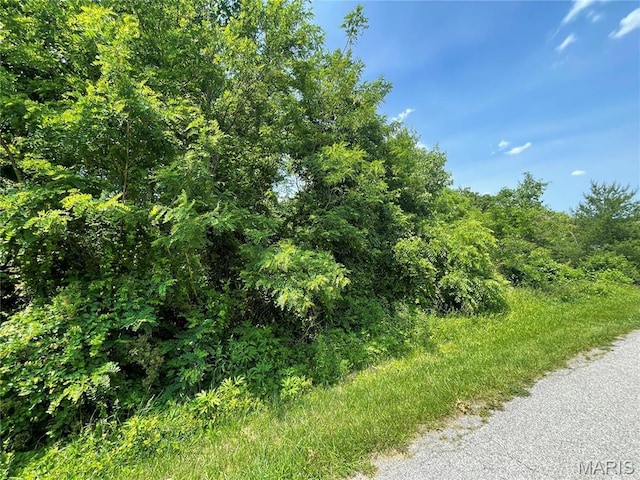 4316 Ann Dr, Alton, IL 62002