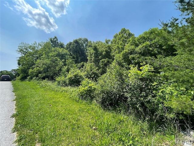 4316 Ann Dr, Alton, IL 62002