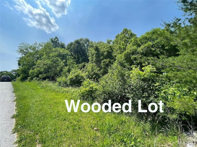 4316 Ann Dr, Alton, IL 62002