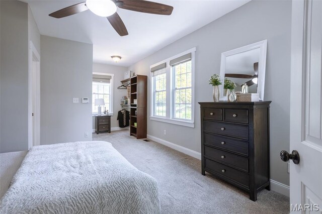 541 W Kirkham Ave, Webster Groves, MO 63119