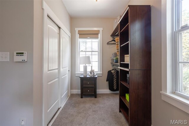 541 W Kirkham Ave, Webster Groves, MO 63119