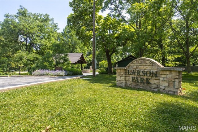 541 W Kirkham Ave, Webster Groves, MO 63119