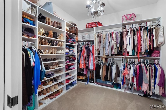1316 Breezeridge Dr, Des Peres, MO 63131 - walk in closet featuring carpet flooring