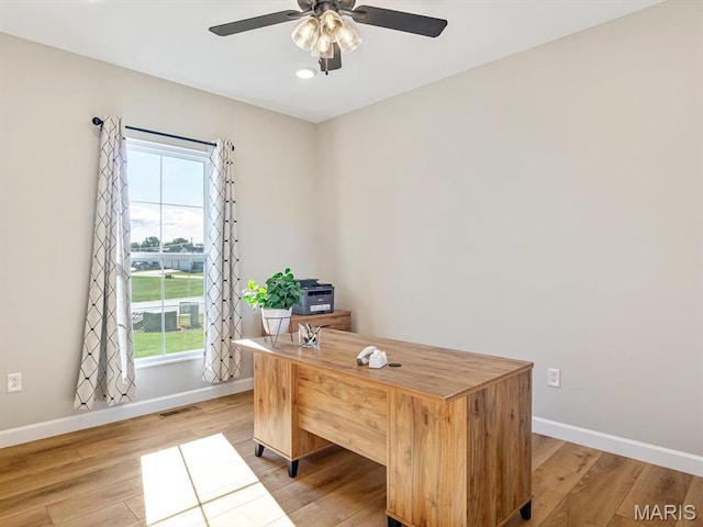 484 Hayden Dr, Waterloo, IL 62298 - office with baseboards, a ceiling fan, plenty of natural light, and light wood finished floors