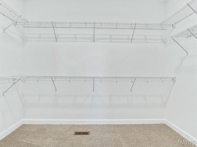484 Hayden Dr, Waterloo, IL 62298 - spacious closet featuring carpet
