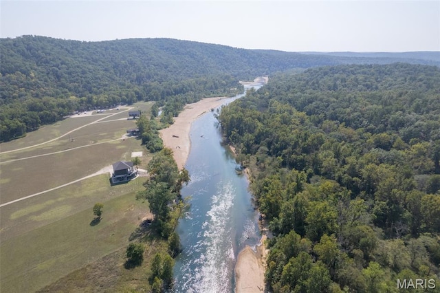 2262 Brown Rd, Van Buren, MO 63965 - bird's eye view of a forest and a nearby body of water
