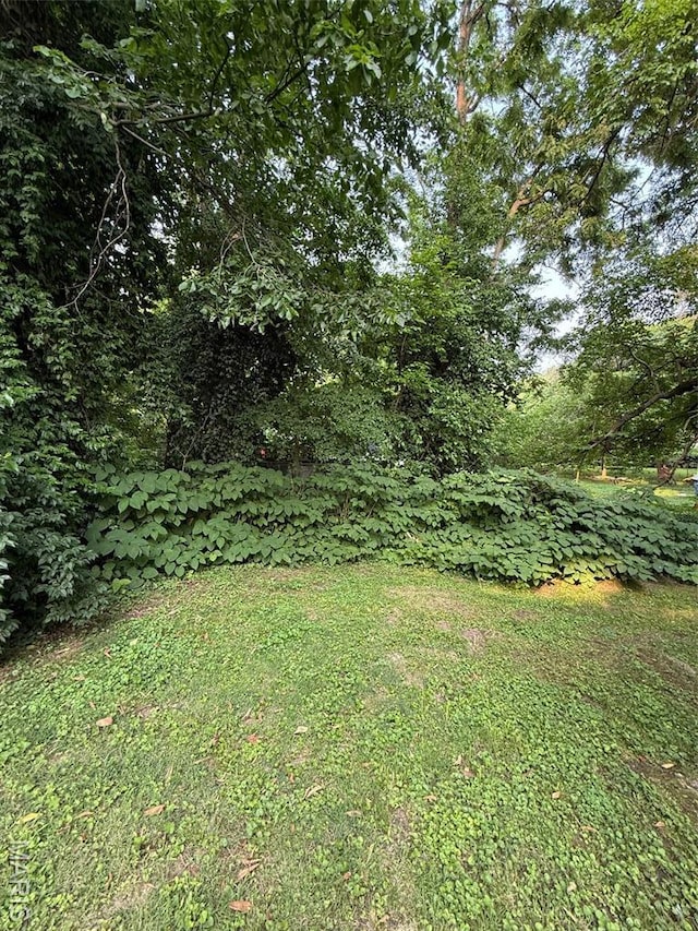 2213 Johnson St, Alton, IL 62002 - view of grassy yard