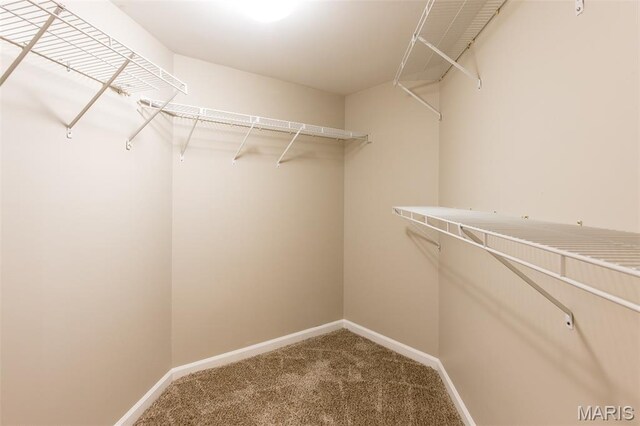 567 Sarah Ln Unit 101, Creve Coeur, MO 63141