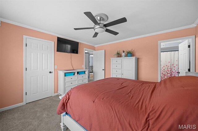 134 Country Trce, Saint Peters, MO 63304 - photo 21