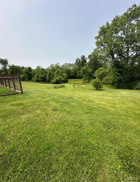 415 Virginia Ave, Cottage Hills, IL 62018 - view of green lawn