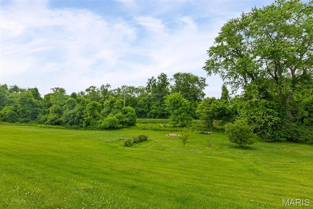 415 Virginia Ave, Cottage Hills, IL 62018 - view of green lawn