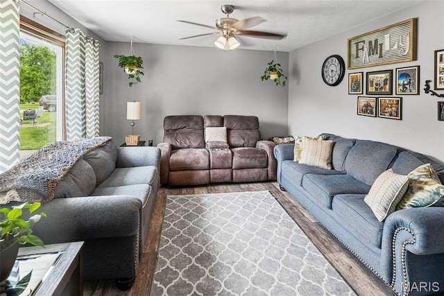 415 Virginia Ave, Cottage Hills, IL 62018 - living room featuring wood finished floors and a ceiling fan