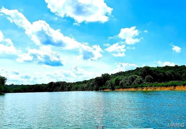 303 Arrowhead Trl, Hermann, MO 65041 - water view with a forest