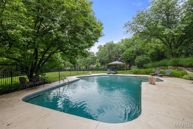 9 Arlington Oaks Ct, Town And Country, MO 63017 - view of swimming pool featuring a patio and view of scattered trees