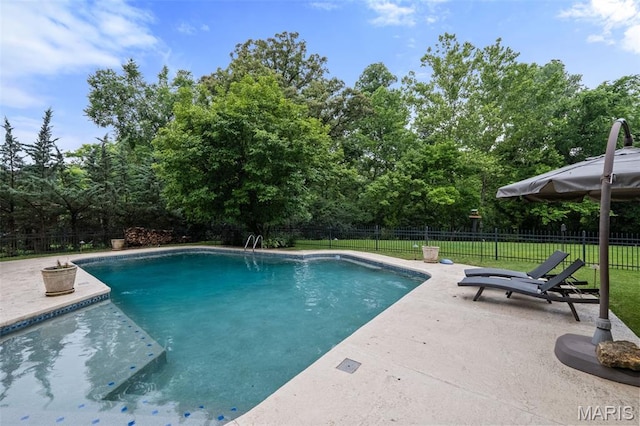 9 Arlington Oaks Ct, Town And Country, MO 63017 - view of pool featuring a patio