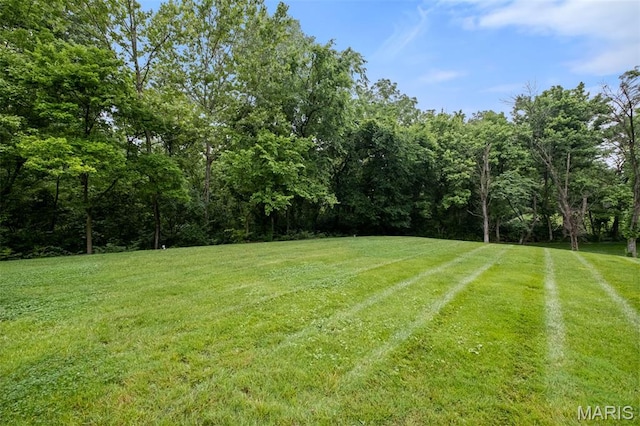 9 Arlington Oaks Ct, Town And Country, MO 63017 - view of grassy yard featuring a forest view