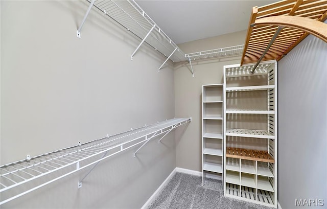 628 Meadowgreen Dr, Troy, MO 63379 - spacious closet with carpet