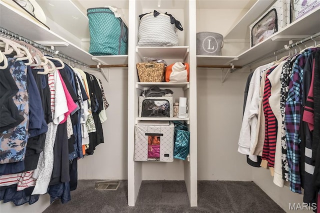 3644 Cinnamon Tree Ln, Oakville, MO 63129 - spacious closet with carpet flooring
