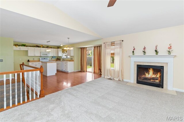 300 Glen Forest Dr, Troy, MO 63379 - photo 9