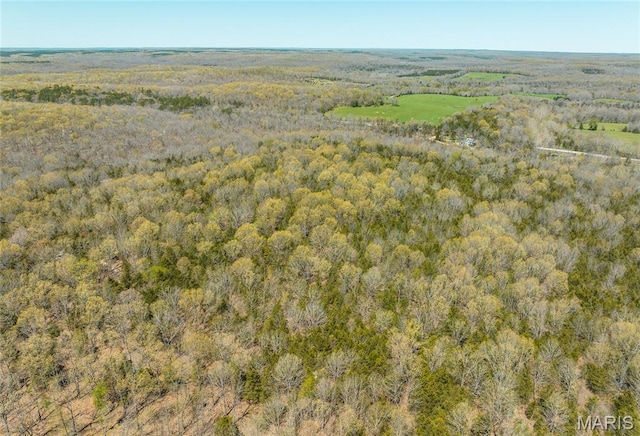 TBD State Route K, Edgar Springs, MO 65462