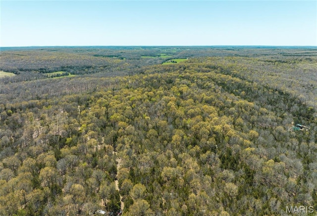 TBD State Route K, Edgar Springs, MO 65462
