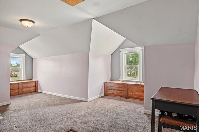 330 Elliott Ave, Chaffee, MO 63740 - additional living space with carpet flooring, baseboards, and vaulted ceiling