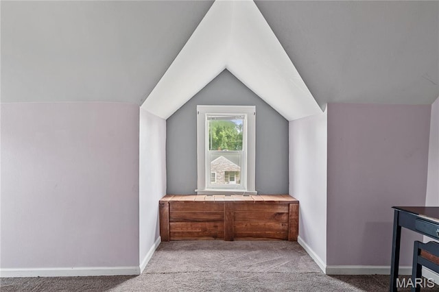 330 Elliott Ave, Chaffee, MO 63740 - additional living space with carpet floors, lofted ceiling, and baseboards