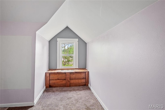 330 Elliott Ave, Chaffee, MO 63740 - bonus room with lofted ceiling, carpet floors, and baseboards