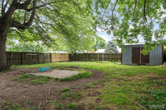 330 Elliott Ave, Chaffee, MO 63740 - view of yard