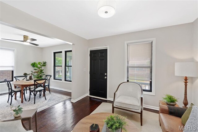 3716 Neosho St, Saint Louis, MO 63116 - photo 5