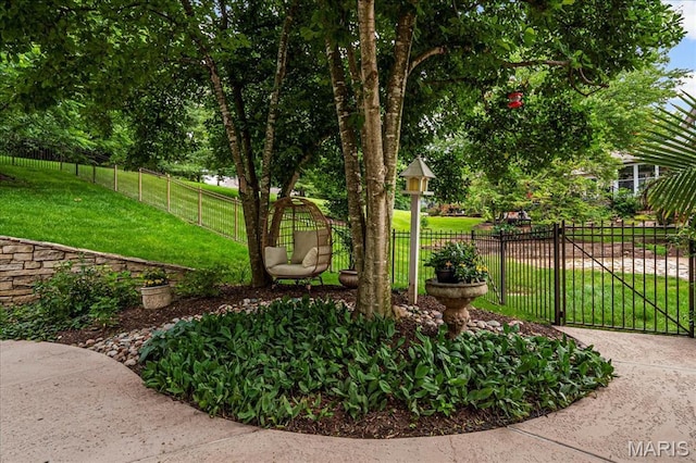 1411 Carriage Crossing Ln, Chesterfield, MO 63005 - photo 35