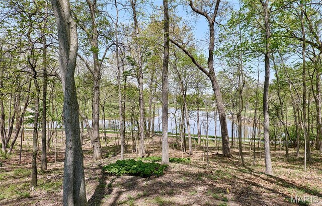 733 Hillenkamp Dr, Weldon Spring, MO 63304