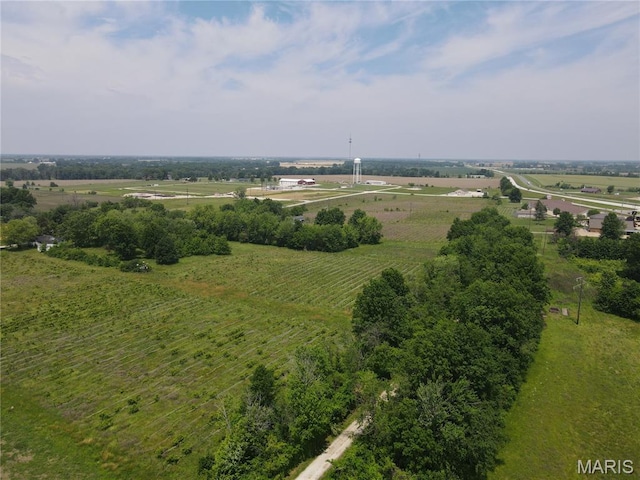 1007 N Brown St, La Plata, MO 63549