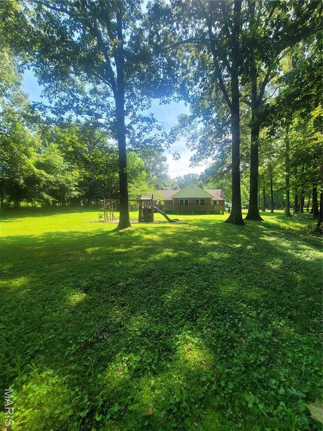 17273 Cedar Hills Dr, Dexter, MO 63841 - photo 5