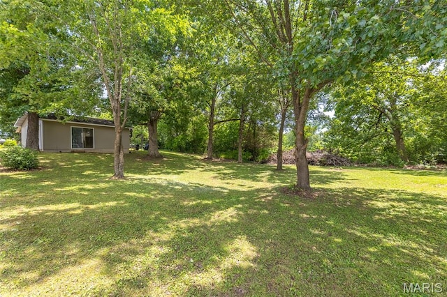 3936 State Highway 142, Doniphan, MO 63935 - view of green lawn