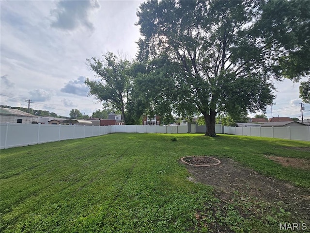 923 S High St, Belleville, IL 62220 - view of yard