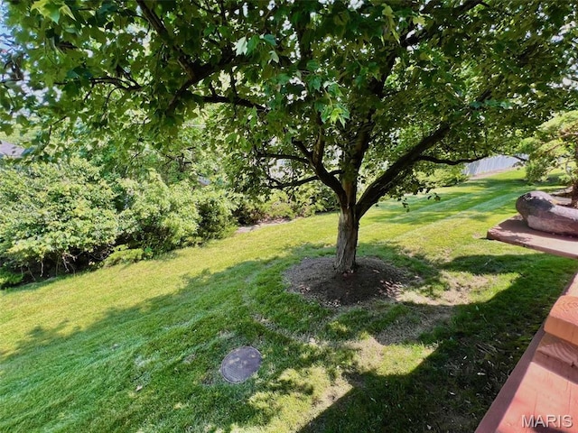 16266 Lea Oak Ct, Chesterfield, MO 63017 - view of grassy yard