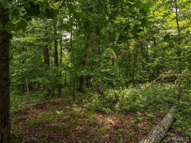 2528 Alpine Trails Dr, Innsbrook, MO 63390