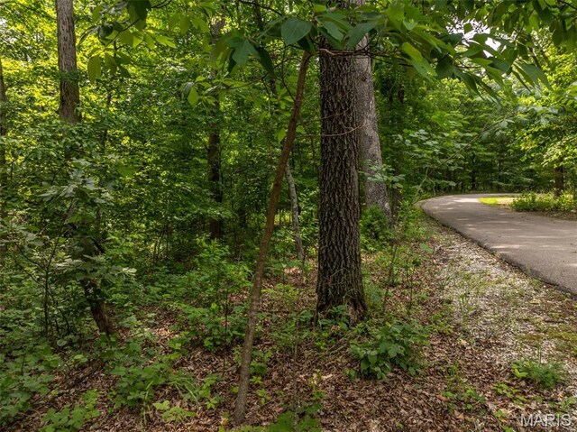 2528 Alpine Trails Dr, Innsbrook, MO 63390