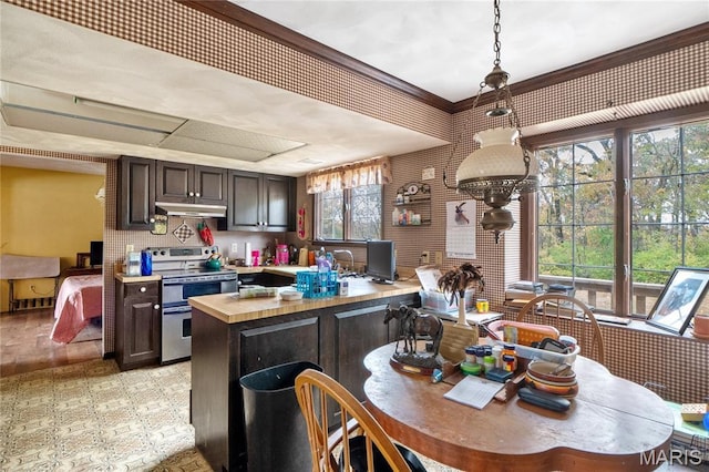2745 Zingg Rd, Millstadt, IL 62260 - kitchen featuring range with two ovens, under cabinet range hood, dark brown cabinetry, wood counters, and a peninsula