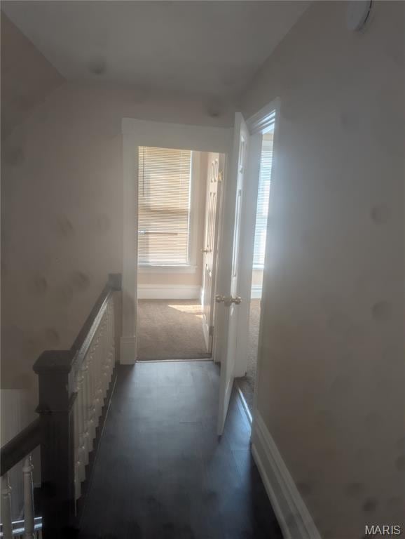4737 Beacon Ave, Saint Louis, MO 63120 - hallway with healthy amount of natural light and carpet floors