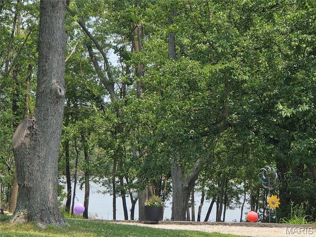 18835 Mary Jane Ln, Carlyle, IL 62231 - water view