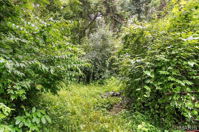 9138 Lynwood Ln, Fairview Heights, IL 62208 - view of tree filled area