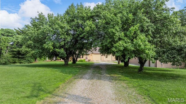 795 Schluersburg Rd, Augusta, MO 63332 - obstructed view of property with driveway and a front yard